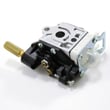 Lawn & Garden Equipment Engine Carburetor A02100722