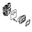 Ayp Leaf Blower Carburetor for Poulan PR46BT - Part 501424371