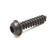 Screw 530-015886