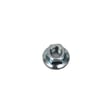 Ayp Lawn & Garden Equipment Engine Carburetor Nozzle Screw 530016101