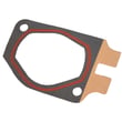 Cylinder Gasket 530019237