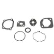 Line Trimmer Engine Gasket Set for Weed Eater FEATHERLITE TYPE 4 - Part 530069616