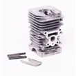 Ayp Lawn & Garden Equipment Engine Cylinder Assembly 530071884