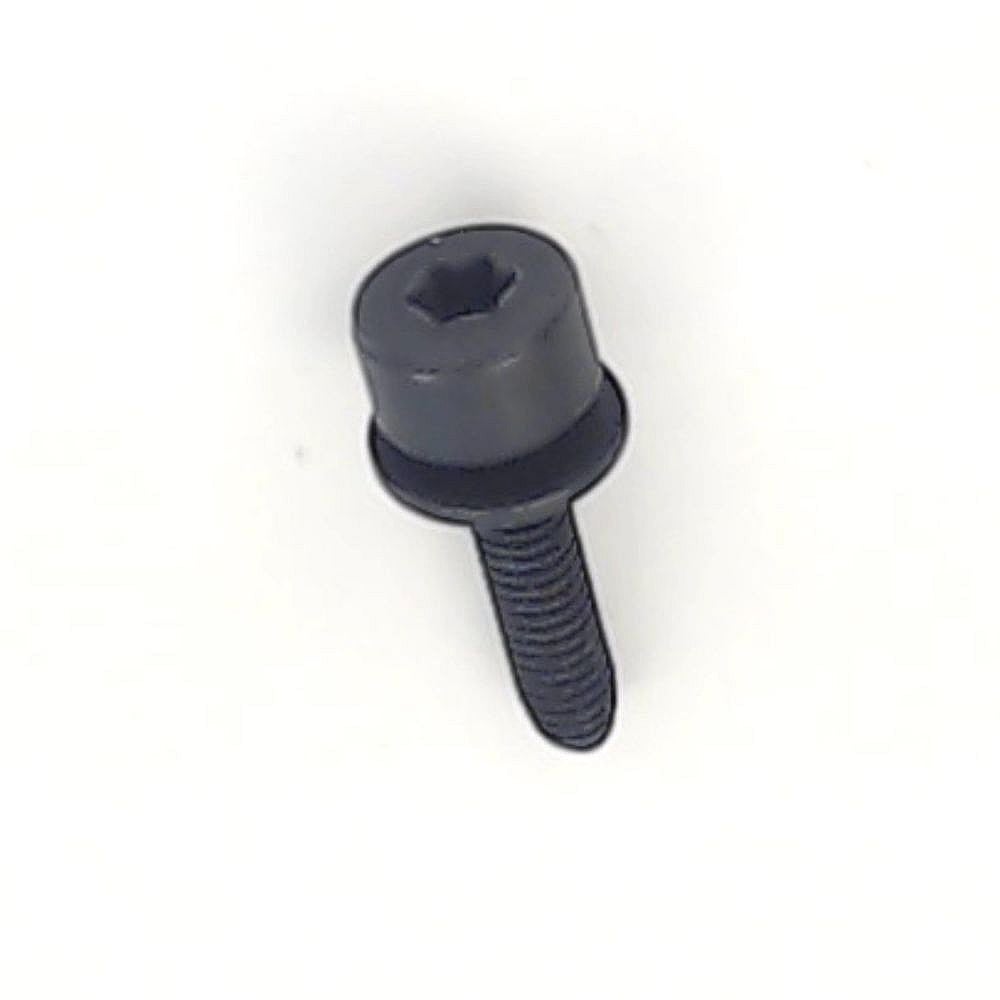 Chainsaw Hex Head Screw