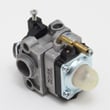 Line Trimmer Carburetor Assembly for Poulan PP030 TYPE 2 - Part 576128801