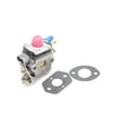 Hedge Trimmer Carburetor 577587901