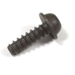 Screw 5300159-06