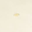 Leaf Blower Recoil Starter Pawl for Craftsman 360796900 - Part 2074343