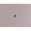Thermos Gas Grill Screw 4080043
