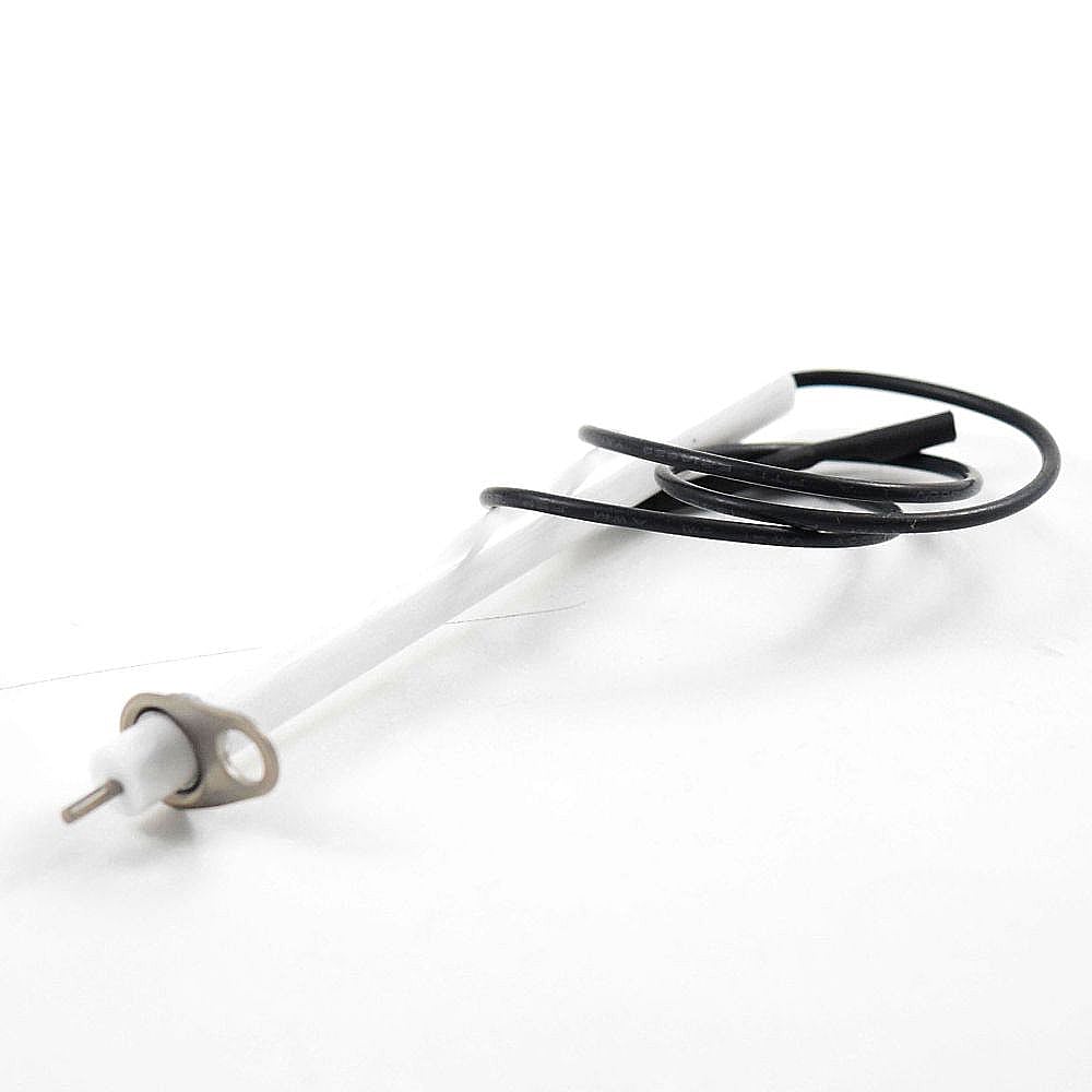 Part #g313-0004-W1, Electrode