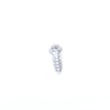 Dethatcher Screw GB845-85