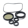 Pressure Washer Pump Oil Seal Kit 198846GS