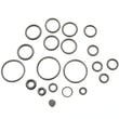 Pressure Washer Pump O-ring Kit 204086GS