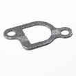 Briggs & Statton Gasket-ex Pi for Briggs & Stratton 261777-0124-01 - Part 272123