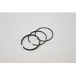 Briggs & Statton Lawn-boy Ring Psn Std for Briggs & Stratton 80202-2209-011 - Part 294232