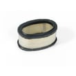 Briggs & Stratton Filter-a/c Cartridge for Briggs & Stratton 252700 TO 252799 (0111-0247) - Part 393725