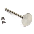 Briggs & Stratton Valve-intake for Briggs & Stratton 195400 TO 195499 (0010 - 0080) - Part 394435