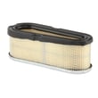 Briggs & Stratton A/c-filter (5 X 691667) 4166