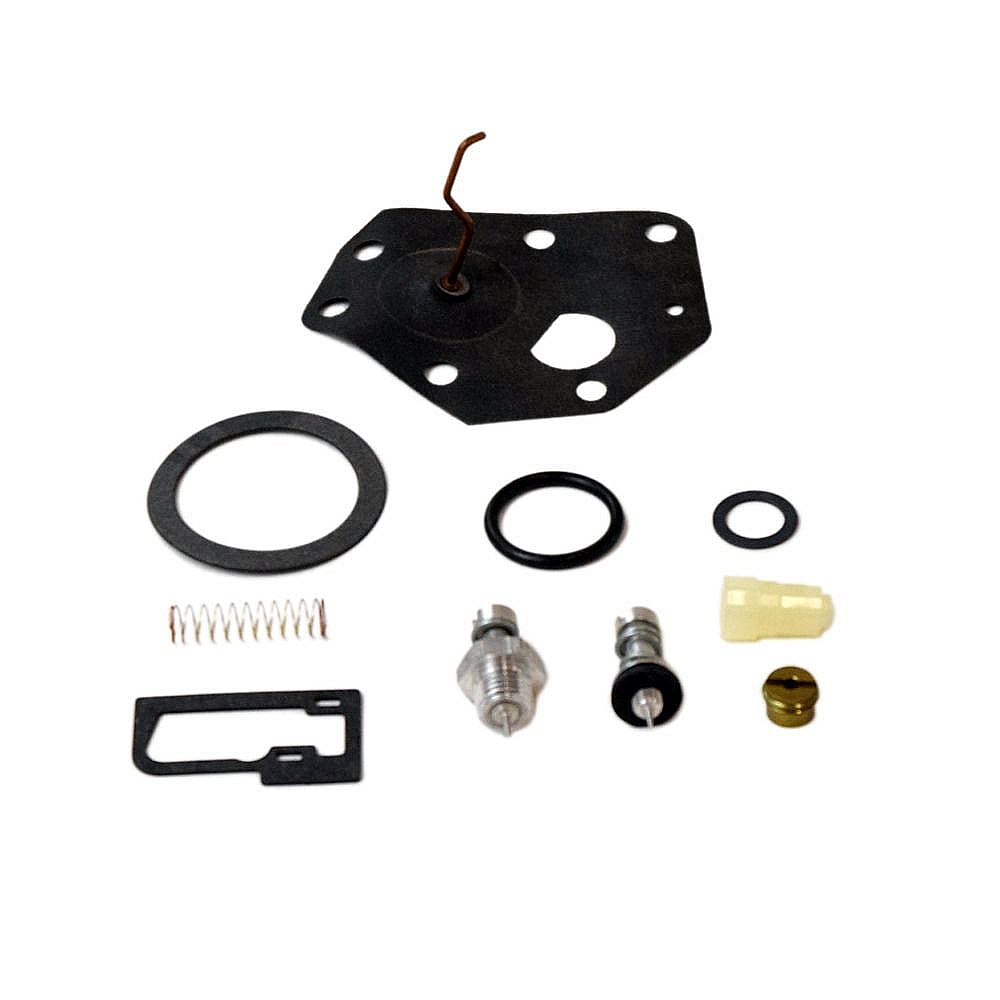 Part #494622, Craftsman Briggs And Stratton Kit-Carb Overhaul