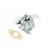 Briggs & Statton Carburetor Assembly for Briggs & Stratton 134402-0113-01 - Part 495652