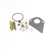 Briggs & Statton Lawn & Garden Equipment Engine Carburetor Rebuild Kit 497535