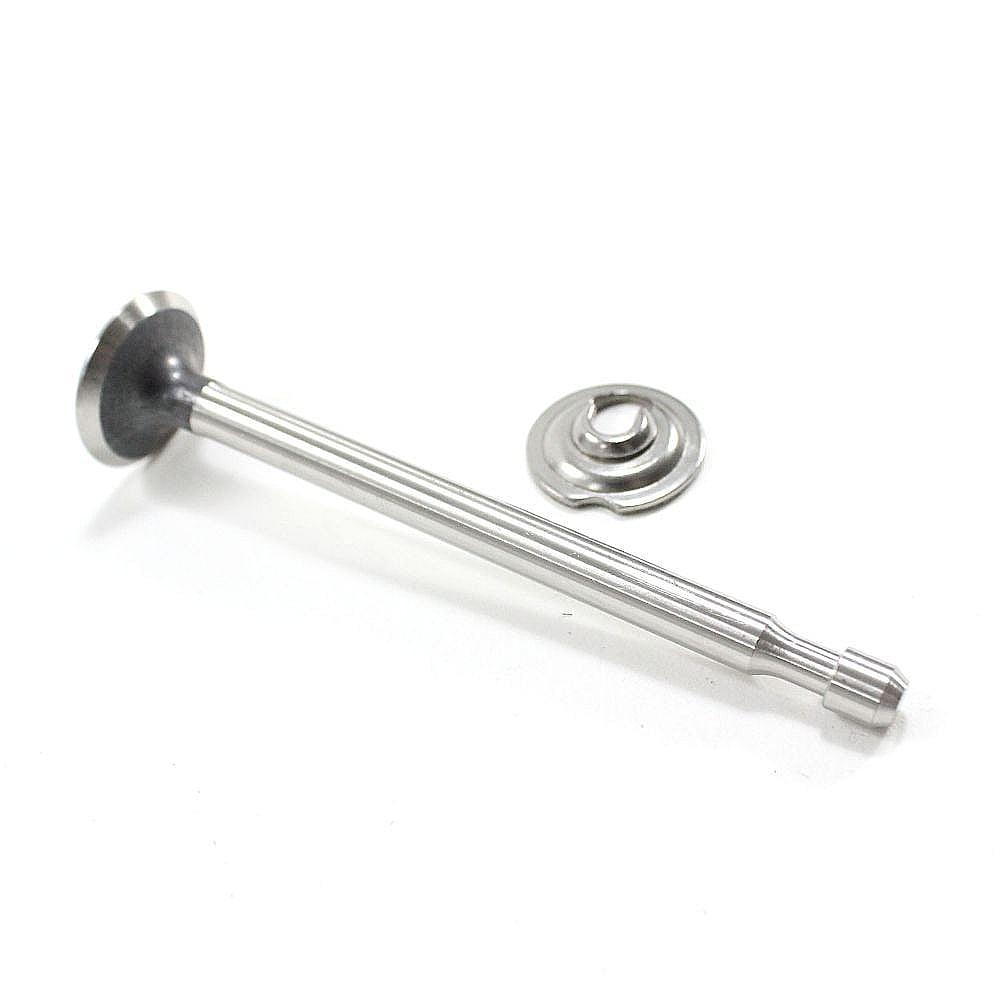 Briggs & Stratton Part #497871, Valve