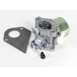 Briggs & Statton Carburetor for Briggs & Stratton 289707-0179-01 - Part 495706