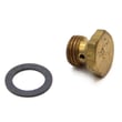 Briggs & Statton Main Jet for Briggs & Stratton 122T02-3824-EA - Part 498667