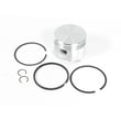 Briggs & Statton Lawn & Garden Equipment Engine Standard Piston Kit for Briggs & Stratton 461707-0145-E3 - Part 499180