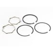 Briggs & Stratton Lawn & Garden Equipment Engine Piston Ring Set for Briggs & Stratton 281707-0200-01 - Part 499996