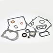 Briggs & Statton Lawn & Garden Equipment Engine Gasket Set for Briggs & Stratton 10T802-0547-B2 - Part 590777