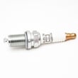 Lawn & Garden Equipment Engine Spark Plug 591039