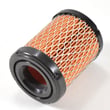 Air Cleaner Filter 796032