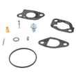 Briggs & Statton Lawn & Garden Equipment Engine Carburetor Rebuild Kit for Briggs & Stratton 13A137-0001-F1 - Part 591770