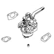 Briggs & Stratton Lawn & Garden Equipment Engine Carburetor for Briggs & Stratton 25U135-0001-G1 - Part 595855