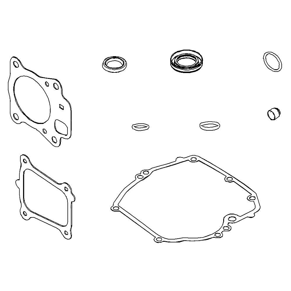 Part #597320, Gasket Set-E