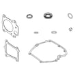 Briggs & Statton Gasket Set-e for Briggs & Stratton 123P02-0010-F1 - Part 597320