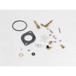 Briggs & Statton Lawn & Garden Equipment Engine Carburetor for Briggs & Stratton 287707-1255-E3 - Part 690191