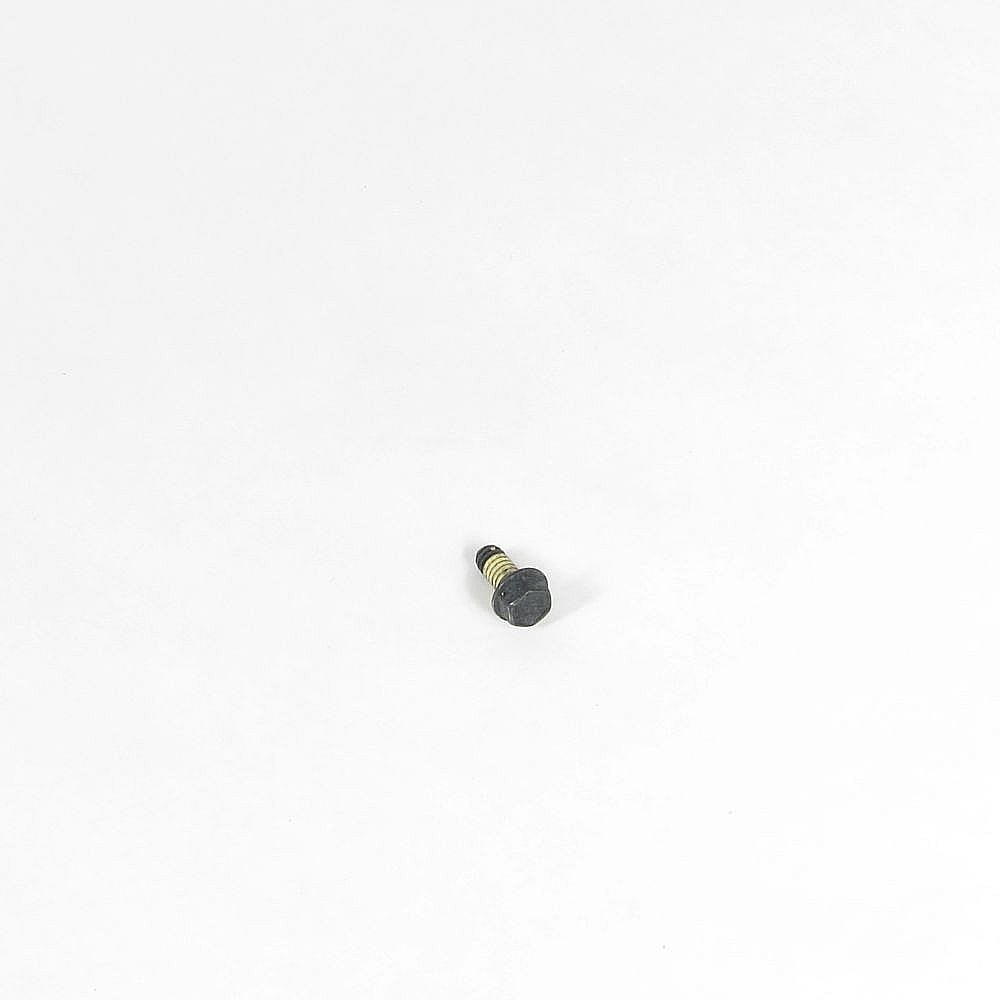 Briggs & Stratton Part #690877, Lawn & Garden Equipment Engine Hex Screw