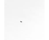 Lawn & Garden Equipment Engine Woodruff Key 690979
