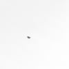 Lawn & Garden Equipment Engine Woodruff Key 690979