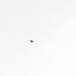 Briggs & Statton Lawn & Garden Equipment Engine Woodruff Key 690979