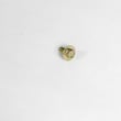 Briggs & Statton Lawn & Garden Equipment Engine Screw for Briggs & Stratton 445877-0829-E1 - Part 594618