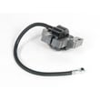 Lawn & Garden Equipment Engine Ignition Coil 691060