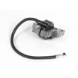 Lawn & Garden Equipment Engine Ignition Coil (replaces 799651)