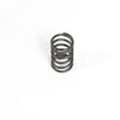 Briggs & Stratton Spring-valve for Briggs & Stratton 42E707-2275-E1 - Part 691605