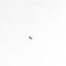 Lawn & Garden Equipment Engine Woodruff Key