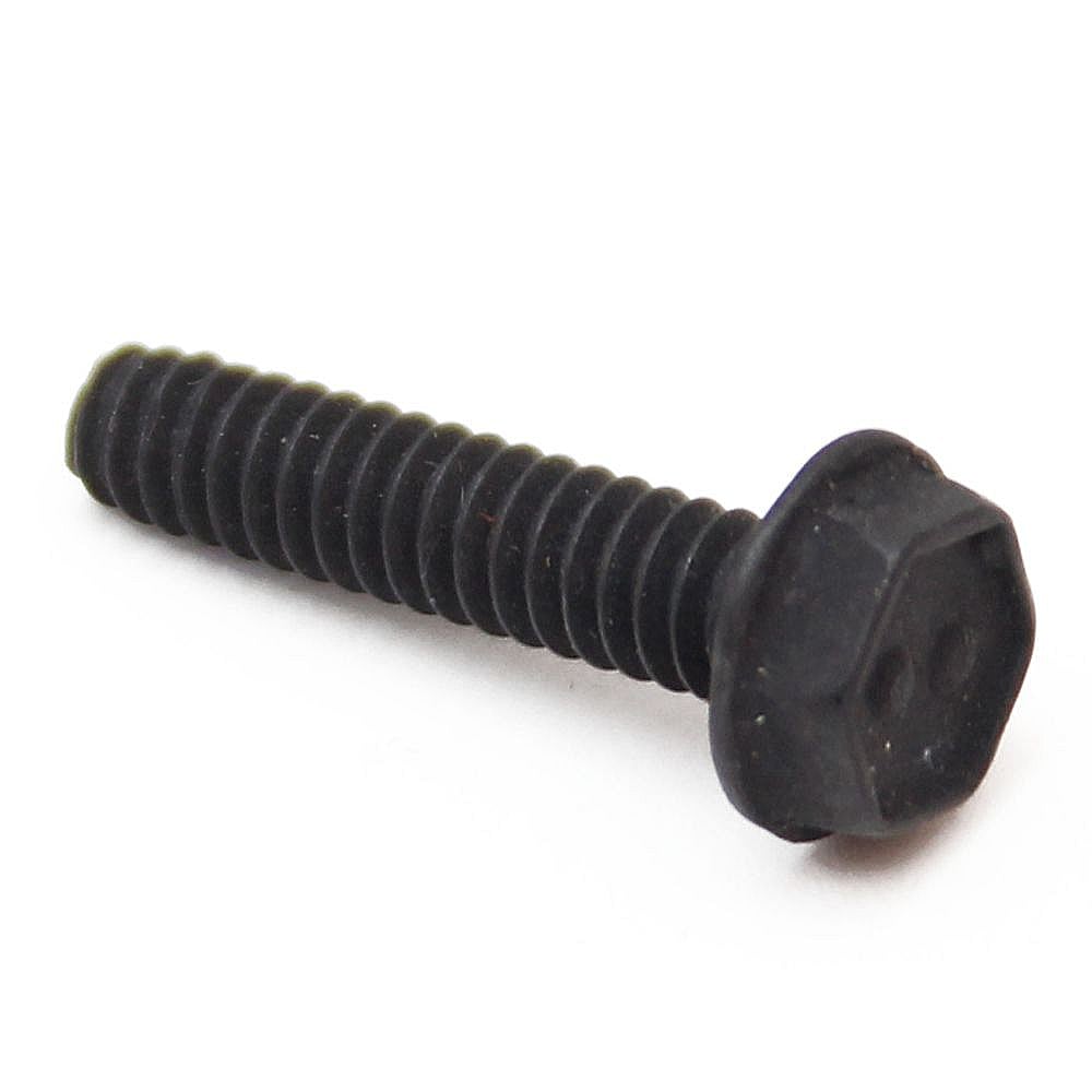 Briggs & Stratton Part #691648, Lawn & Garden Equipment Engine Screw