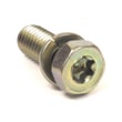 Briggs & Stratton Screw for Briggs & Stratton 354447-0122-E1 - Part 691902