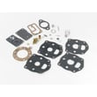 Carb Kit 394034